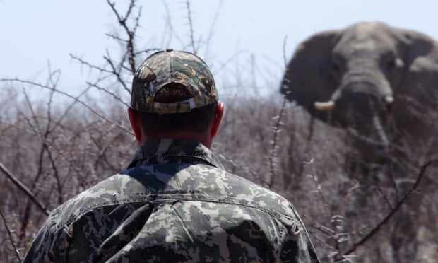 Hunting an elephant in Africa