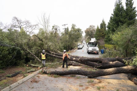 La gente despeja un camino bloqueado por árboles caídos después de una fuerte tormenta de invierno en el condado de San Mateo del Área de la Bahía de San Francisco, el lunes.