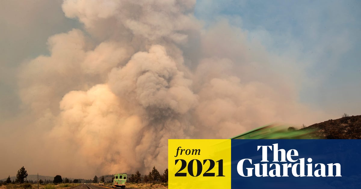 www.theguardian.com