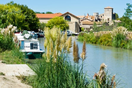 Rushes at the side of a canal with a moored boat and a village in the distance.