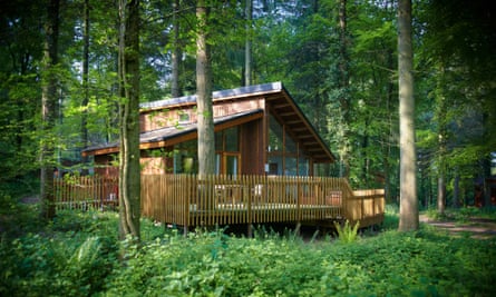 Private retreat: a cabin in the woods, complete with hot tub.