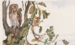 ‘This is what nature must best be to children: something “alive, powerful and sentient”.’