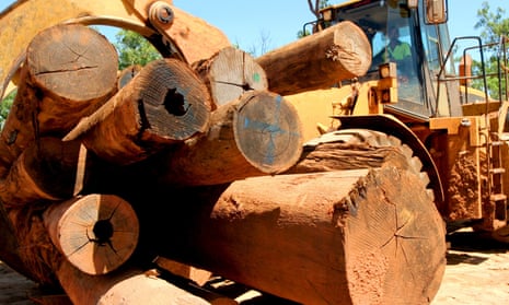 Heavy machinery loads hardwood bound for China in Tiwi Island for shipment from Port Melville.