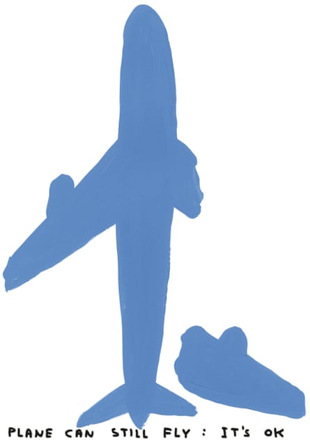 An aeroplane with a broken wing, captioned ‘Plane can still fly: it’s OK’
