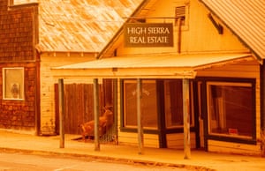 Um cervo pula em uma propriedade comercial quando o incêndio em Dixie se aproxima do centro de Greenville, Califórnia.