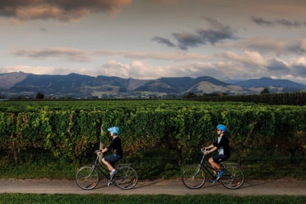 Two cyclists ride past grape vines
