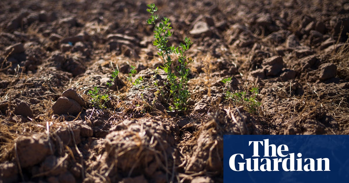 EPA again OKs use of toxic herbicide linked to Parkinson’s disease | US ...