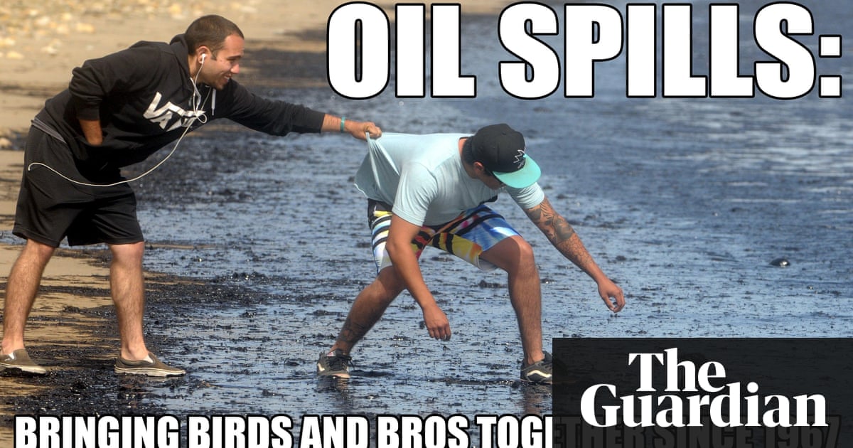 Fossil fuel memes: oil spills are a beach | Environment ...