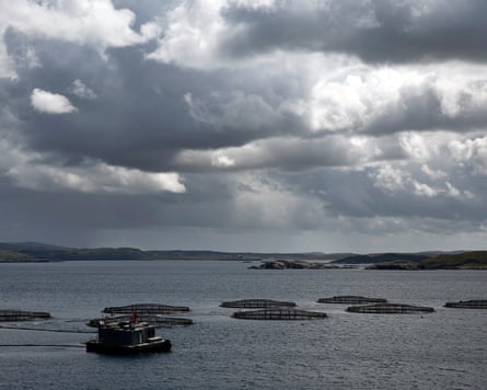 Fish farms in a large expanse of water