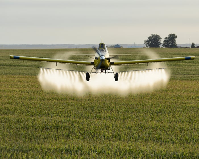 Image accompanying the story: Suit filed to force Trump administration to address cancer-linked pesticide pollution