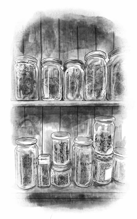 A monochrome illustration of a shelf full of preserving jars full of plants and fruit