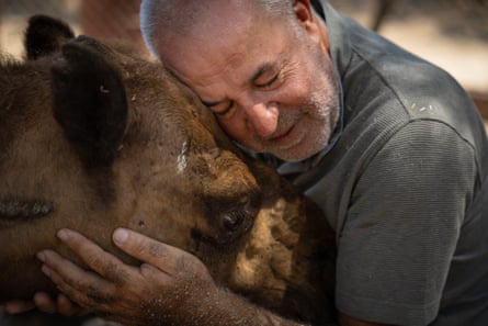 Houssein Hamze hugs the head of a camel