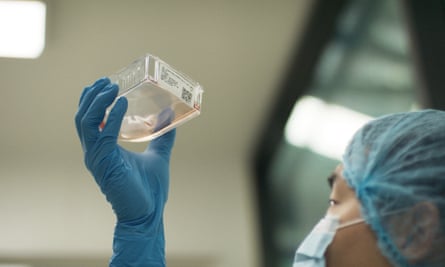 A technician in a lab A technician in a lab