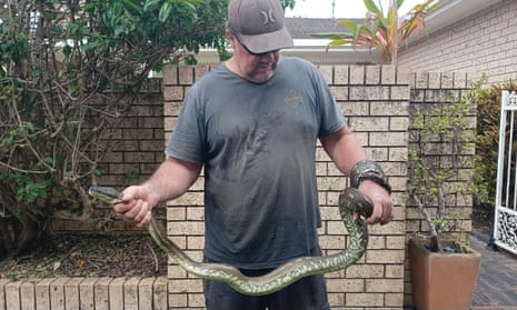 man stands holding a large python with both hands