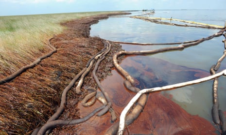 Oil from the BP Deepwater Horizon spill