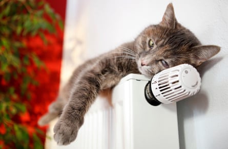 Cat lying on a heater