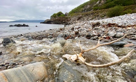 antlers in the stream