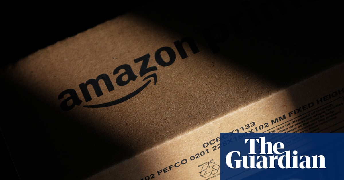 Three-year-old bitten by snake ‘hiding under’ Amazon package in California