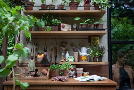Shelves in a shed with seedlings, books and household items on display