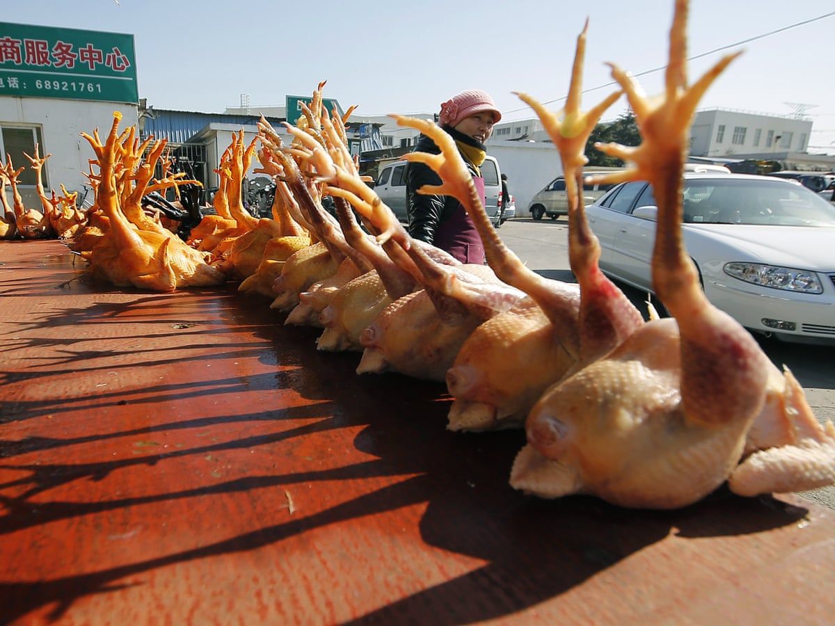 China Confirms First Human Case Of H10n3 Bird Flu Strain Bird Flu The Guardian