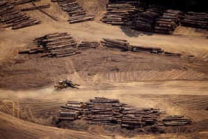 Tractor groups timber logs in the north of Para on October 03, 2012