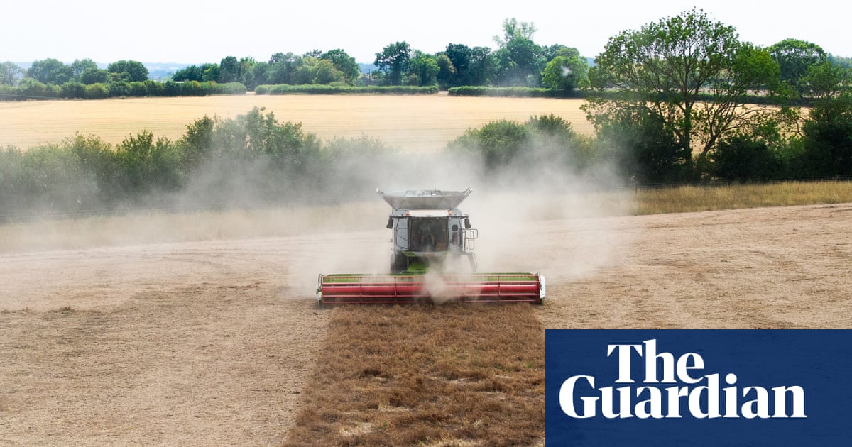UK Farmers Adopt Beaver Dams and Tough Crops Against Drought