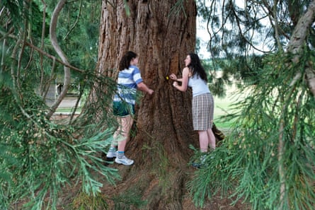 Nina and Margot stand around a thick tree trunk where Margot is placing her hands by a tiny yellow canister embedded in the bark; they both have long dark hair and are wearing T-shirts and shorts.