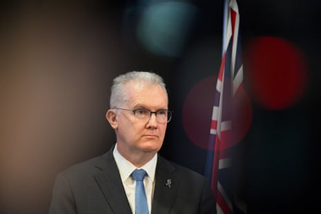 The home affairs minister, Tony Burke.