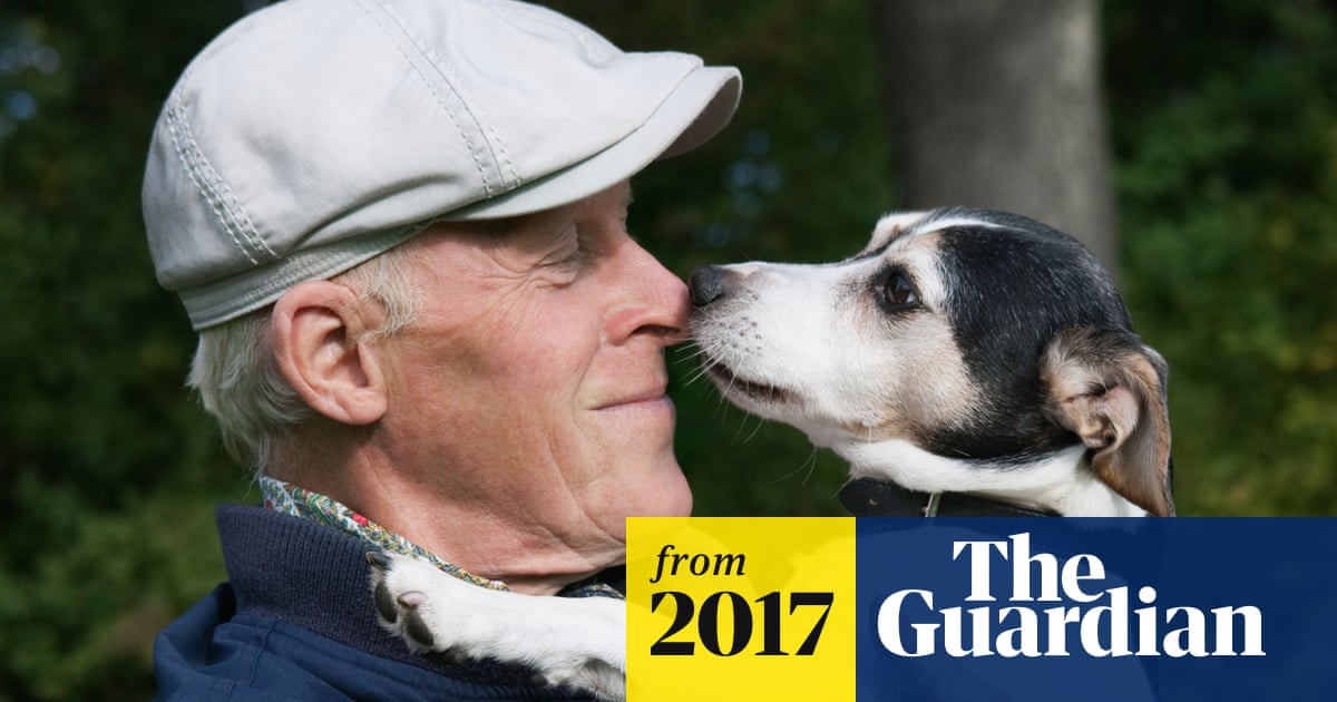 Not to be sniffed at: human sense of smell rivals that of dogs, says study