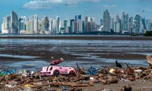 A double-crested cormorant sits amongst plastic waste at the beach of the Costa del Este neighborhood in Panama City.