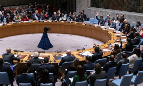 Member countries voting during the UN security council vote in New York