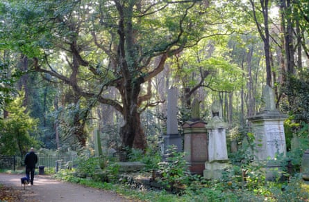 A man walking his dog in spring in a Victorian cemetery park