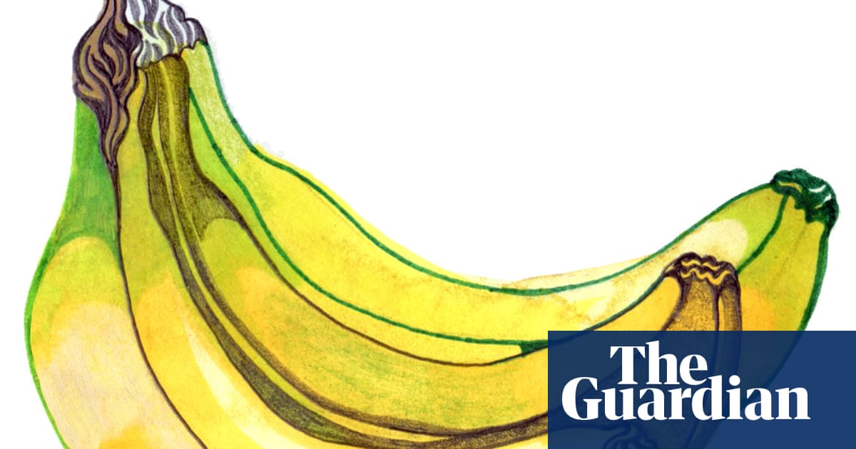 Why are bananas yellow, and what noise do giraffes make? Try our kids’ quiz