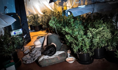 A boy enslaved on a UK cannabis farm sleeps on the floor