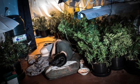 A recreation of a UK cannabis farm where trafficked boys are forced to tend to plants.