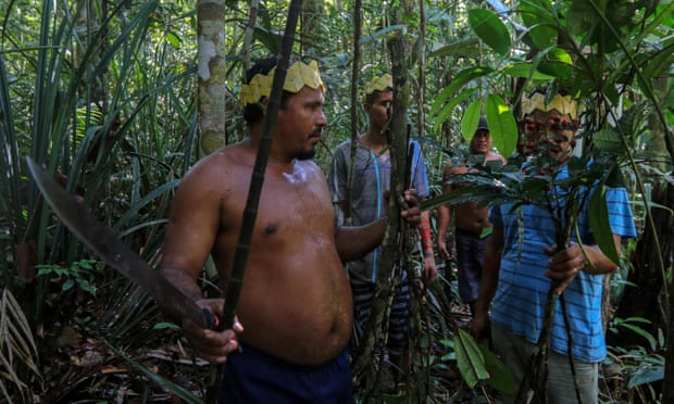 Sateré-Mawé men collect medicinal herbs to treat people showing Covid symptoms, in a rural area west of Manaus, Brazil.