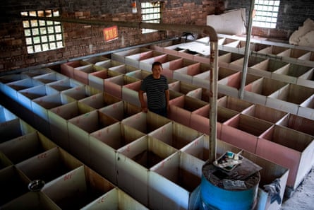 A bamboo rat farmer walking among cages. 