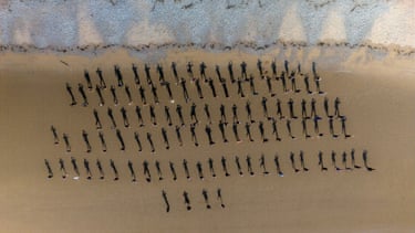 Morecambe Bay, UK ‘The shadows of 100 people doing the Eric Morecambe skipping pose on the beach to celebrate Eric’s centenary.’