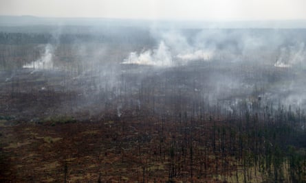 The aftermath of wildfires that burned more than 1m hectares of forests in Siberia’s Krasnoyarsk territory in 2019.