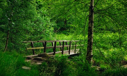 The footbridge at Blake Dean
