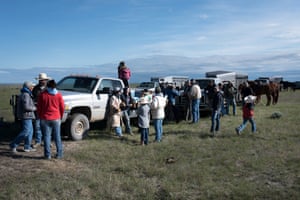 Montana ranching