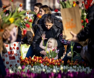 Amsterdam, Netherlands, Visitors pick tulips in the picking garden on National Tulip Day