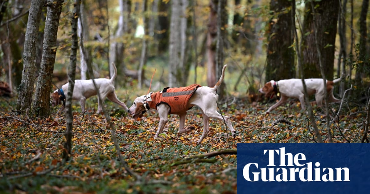 Wales landowner bans trail hunting after huntsman found guilty of