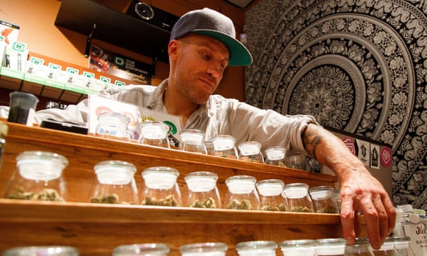 Shane Cavanaugh, owner of Amazon Organics, a pot dispensary in Eugene, arranges the cannabis display in his store before the grower’s fair in 2015.