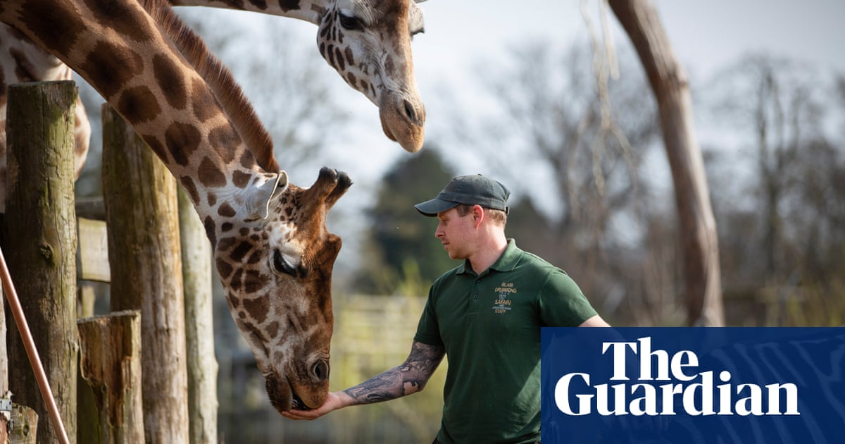 All Blair Drummond Safari Park lacks is visitors in pictures UK news The Guardian All Blair Drummond Safari Park lacks is visitors in pictures UK news The Guardian