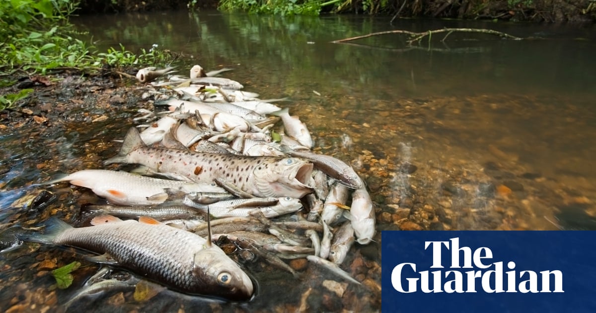 Environment Agency pension fund criticised for owning stakes in UK water firms