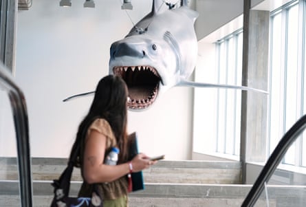 Model of shark in museum