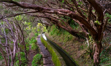 Levadas are irrigation canals that run through the hills of Madeira.
