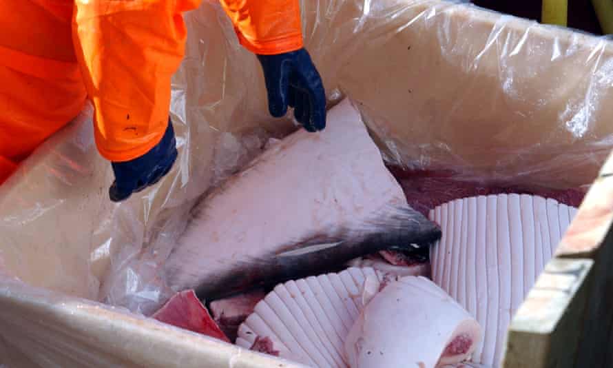 A fisher sorts through meat from a minke whale in Olafsvik harbour, Iceland.