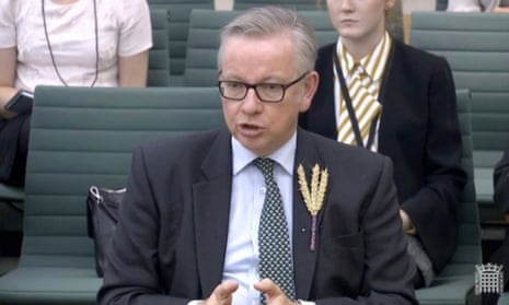 Michael Gove giving evidence to the Commons environment committee.